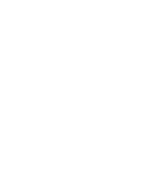 Digital Stealth Care, a Plausible Deniability project